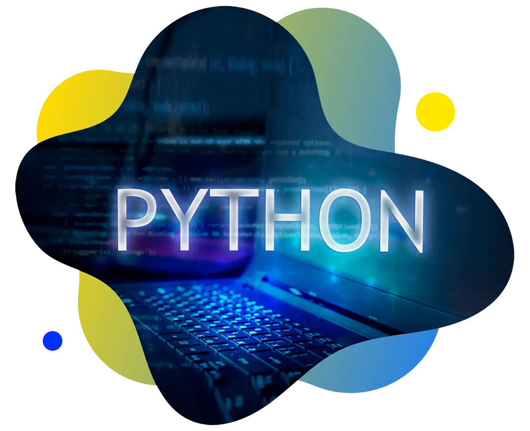 custom python website and software development company
