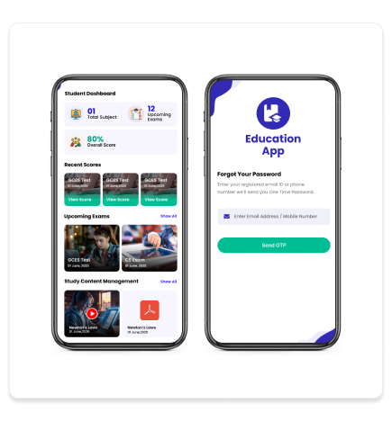 Project Overview