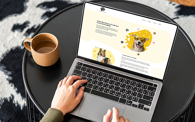 Pet Care Solutions Portfolio